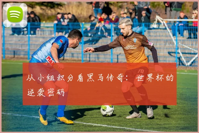 从小组积分看黑马传奇：世界杯的逆袭密码